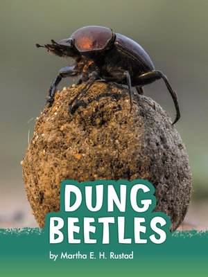 cover image of Dung Beetles